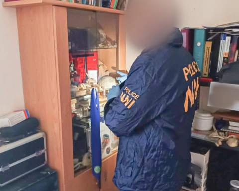 Венгерская полиция задержала мужчину за незаконное хранение человеческих останков
