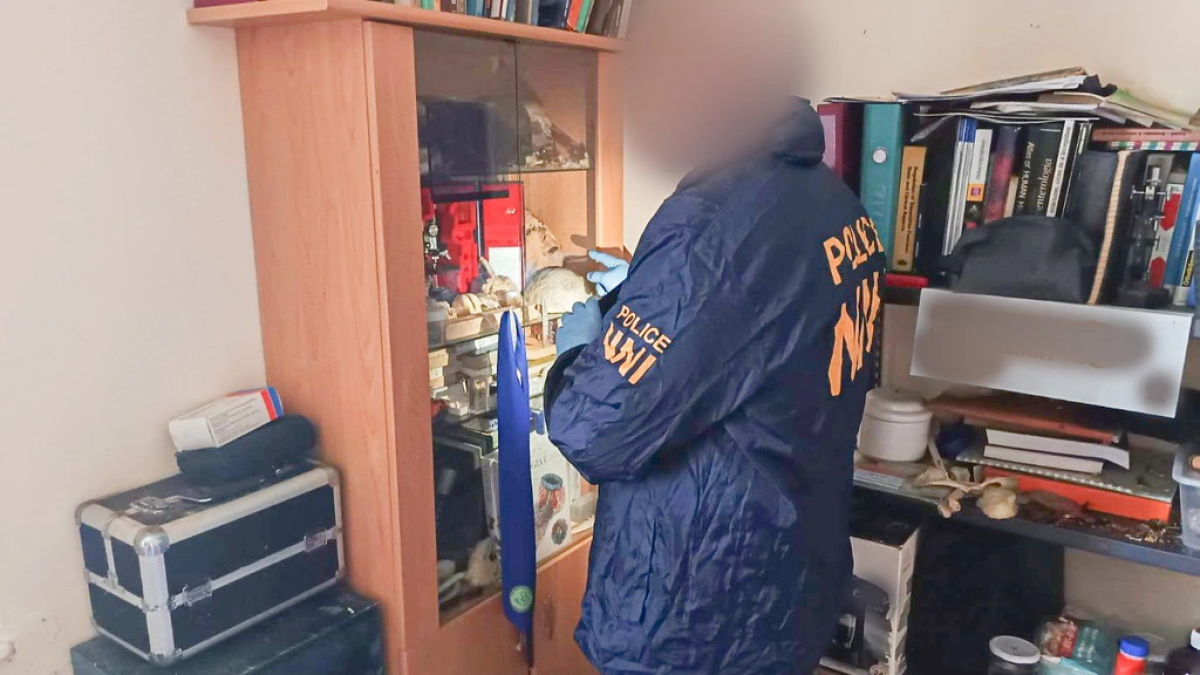 Венгерская полиция задержала мужчину за незаконное хранение человеческих останков