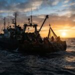 Объемы вылова рыбы в России снизились до 2,6 млн тонн на фоне роста долговой нагрузки