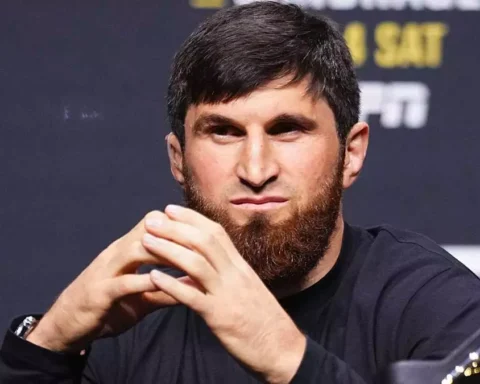 Магомед Анкалаев вернулся к боям после поражения от Алексапа Перейры