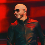 Министр экономики Латвии сообщил о возможности переноса отмененного концерта Pitbull в Риге