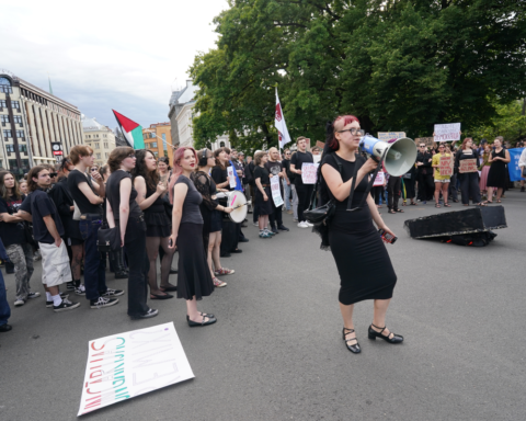 Советник министра Гунтарс Витолс критикует лжепредставителей НПО на акции протеста в Риге