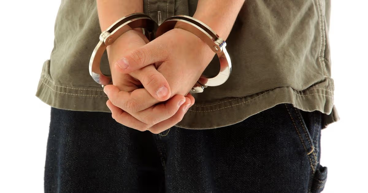 В Бельгии задержаны школьники за угрозы поджога и химатаки на учебное заведение