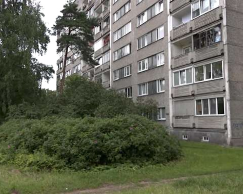 В Милгрависе мальчик выпал из окна, у сослуживца возникли опасения о благополучии семьи
