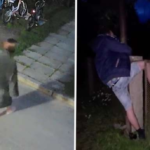 Жительница Илзе освободила мужчину, застрявшего в заборе у центра социального ухода