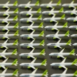 airBaltic регистрирует новый бренд airBaltic Switzerland для защиты интеллектуальной собственности