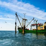 Еврокомиссия предлагает увеличить квоты на вылов рыбы в Балтийском море для Латвии