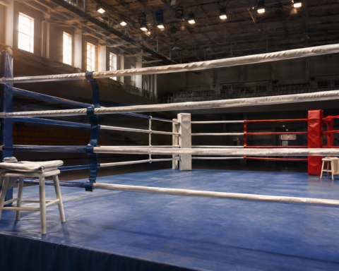 World Boxing допустила российских боксеров к турнирам с флагом и гимном