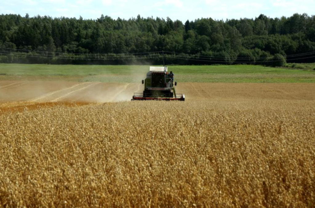Индекс мировых цен на продовольствие увеличился на 0,6% из-за подорожания зерна и масел