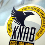 Инета Цируле назначена временным главой KNAB после отставки Екабса Страуме
