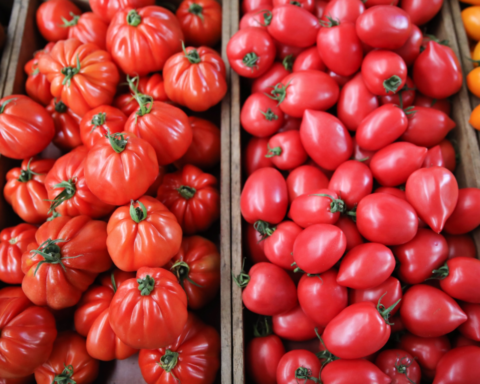 Институт агроресурсов призывает сохранить пониженный НДС на продукты питания в Латвии