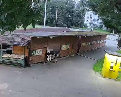 Воры продолжают грабить рынок в Пурвциемсе, крадя кабели и деньги