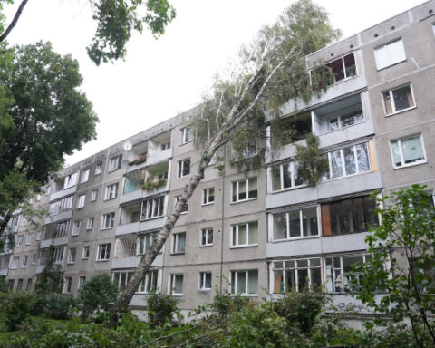 AS «Sadales tīkls» потратила 7,3 млн евро на восстановление после шторма в Латвии