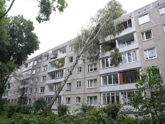 AS «Sadales tīkls» потратила 7,3 млн евро на восстановление после шторма в Латвии