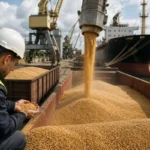 Латвийское правительство проверяет зерно, перевозимое через порты, на российское происхождение