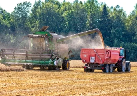 Мировые цены на продовольственное сырье снова растут из-за геополитических факторов и климатических изменений