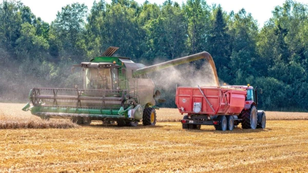 Мировые цены на продовольственное сырье снова растут из-за геополитических факторов и климатических изменений