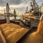 Россия увеличивает экспорт зерна через порты Латвии, достигая 5 миллионов тонн заявок