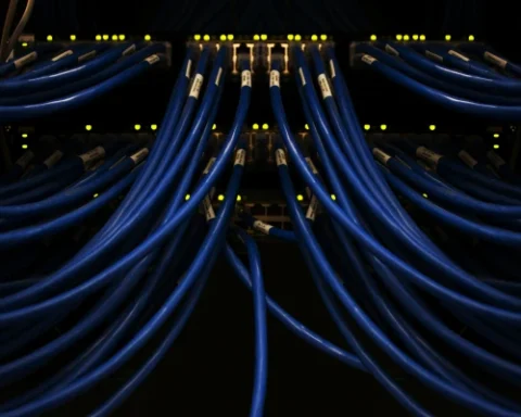 Спрос на специалистов по искусственному интеллекту вырастет вдвое к 2025 году