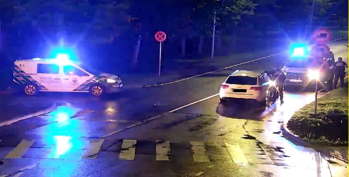 В Саласпилсе задержаны двое пьяных водителей, сменивших друг друга за рулем Audi