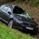 Водитель Volkswagen пострадал в ДТП с диким животным в Ропажском крае