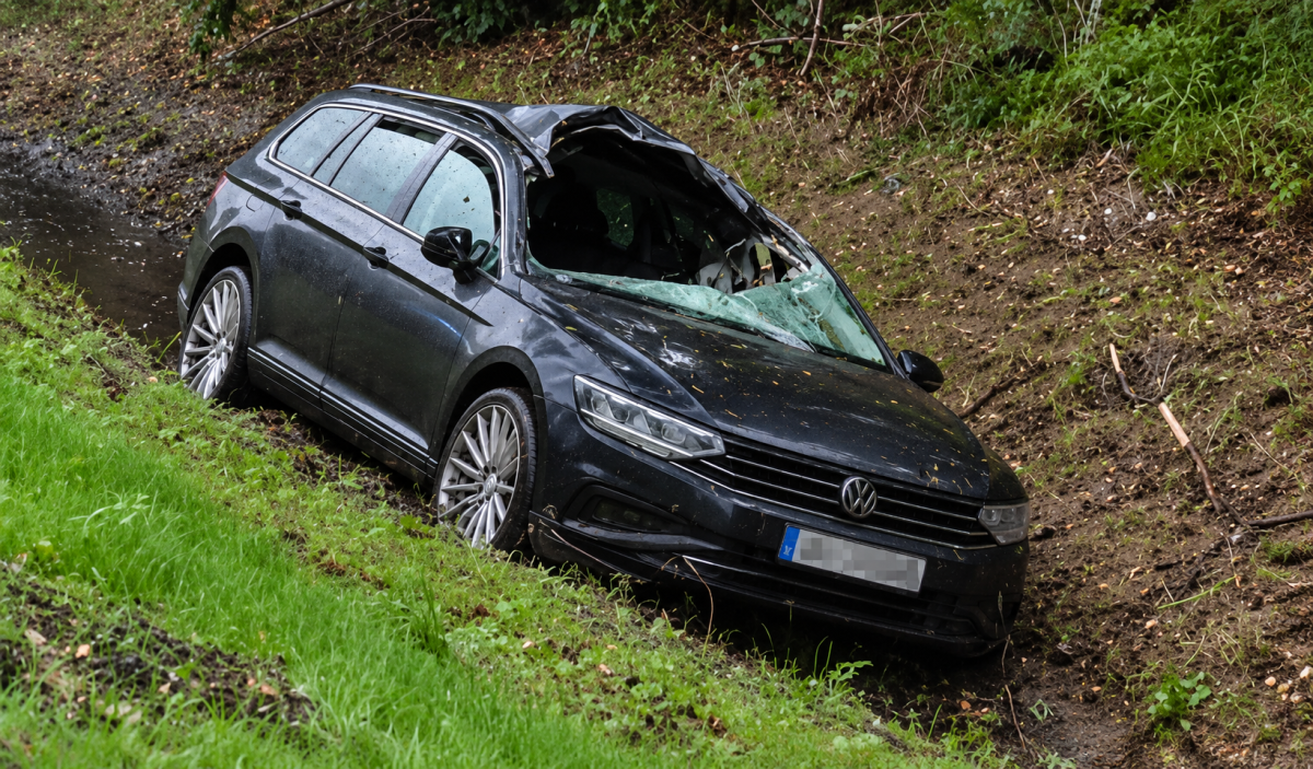 Водитель Volkswagen пострадал в ДТП с диким животным в Ропажском крае