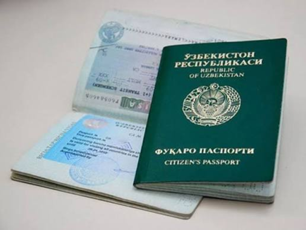 Граждане Узбекистана потеряли вид на жительство в Латвии за жестокое обращение с лебедем