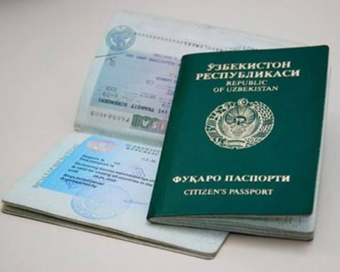 Граждане Узбекистана потеряли вид на жительство в Латвии за жестокое обращение с лебедем