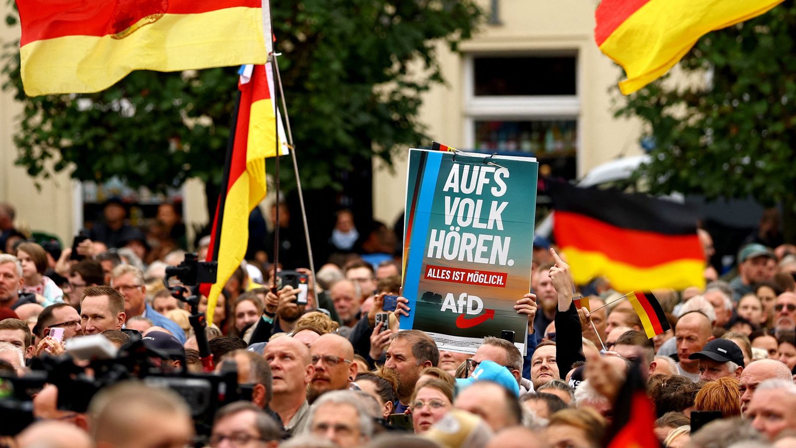 Crowd at a protest in Germany holding German flags and an AfD sign.
